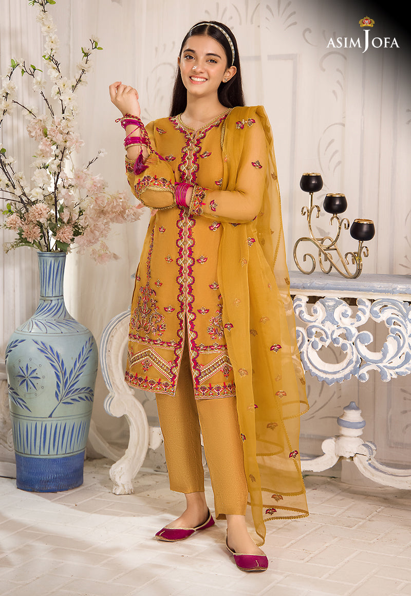 AJTFD-09 EMBROIDERED ORGANZA 2 PCS
