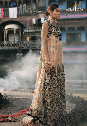 Aj-163-clothing brand-clothing for women-brand of clothes in pakistan-clothing brands of pakistan-luxury dress-designer dress in pakistan-luxury dresses