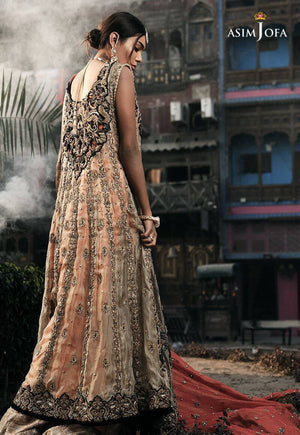 Aj-163-clothing brand-clothing for women-brand of clothes in pakistan-clothing brands of pakistan-luxury dress-designer dress in pakistan-luxury dresses