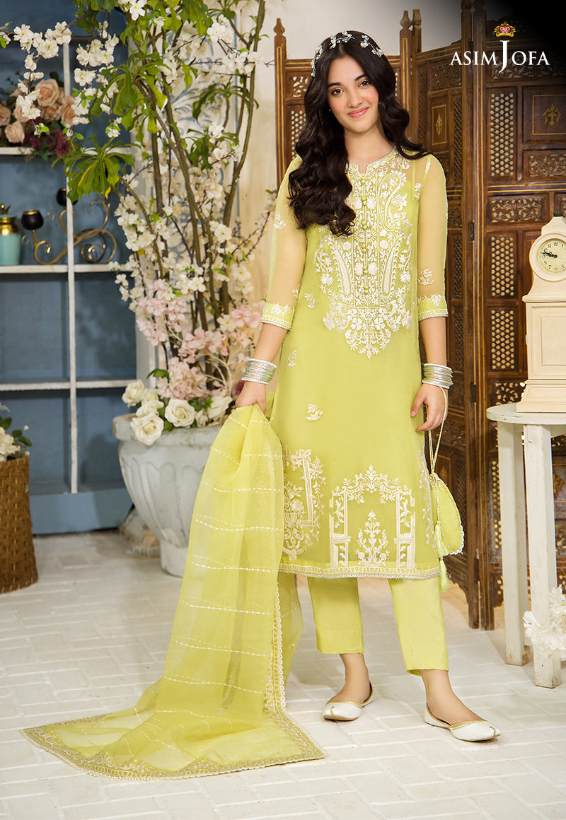 Designer Picks Stitched Asim Jofa Designer Picks Stitched Asim Jofa