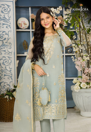 AJTF-05 EMBROIDERED ORGANZA 3 PCS – Asim Jofa