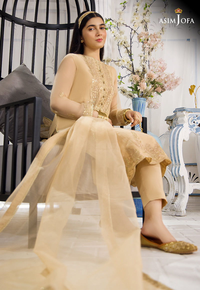 Pakistani Evening Wear Dresses Evening Wear Pakistan Salwar Kameez Designer Evening  Dresses